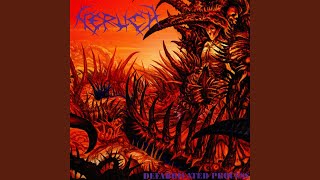 Insane Creations / Inorganic Echoes