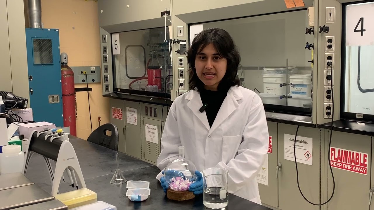 2024 Chemical Engineering Capstone Design Project Winning Team: Pads to Purpose