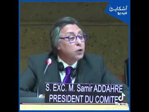 سفير الدهر  يفحم  ممثل الجزائر باليونيسكو حول مغربية الصحراء