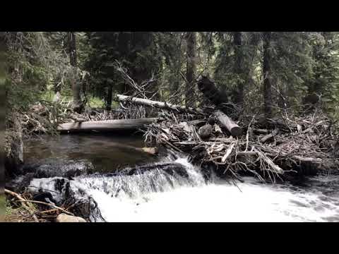 Hiking the trail along the river