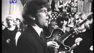 Them - Baby Please Don&#39;t Go  -1966.mpg