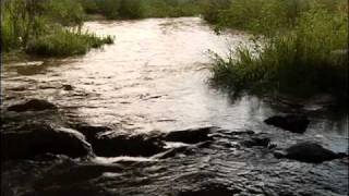 Douglas County Wetlands and Water Quality