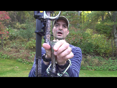 How to shoot a compound bow for beginners