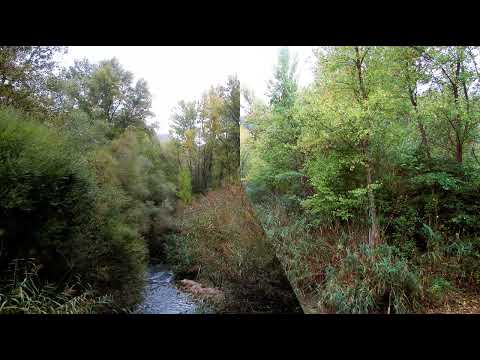 otoño 17-10- 2023 camino de Abenfigo(Teruel)