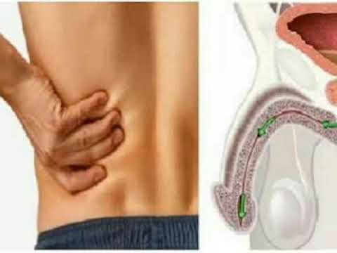 Harga operasi penis Beberapa tablet untuk ulasan potensi