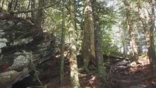 The Best Spirituality is Often Just a Walk in Nature