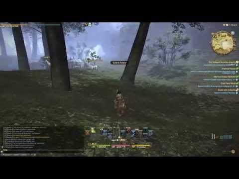 FF XIV ARR: Black Mage Class Quest - Level 45