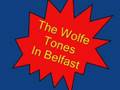 The Wolfe Tones - In Belfast 