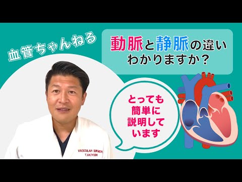 ルメックス静脈について詳しく解説