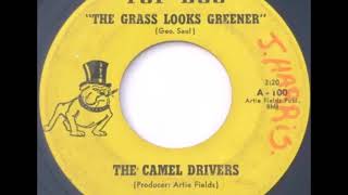 The Camel Drivers ‎– The Grass Looks Greener{1968}