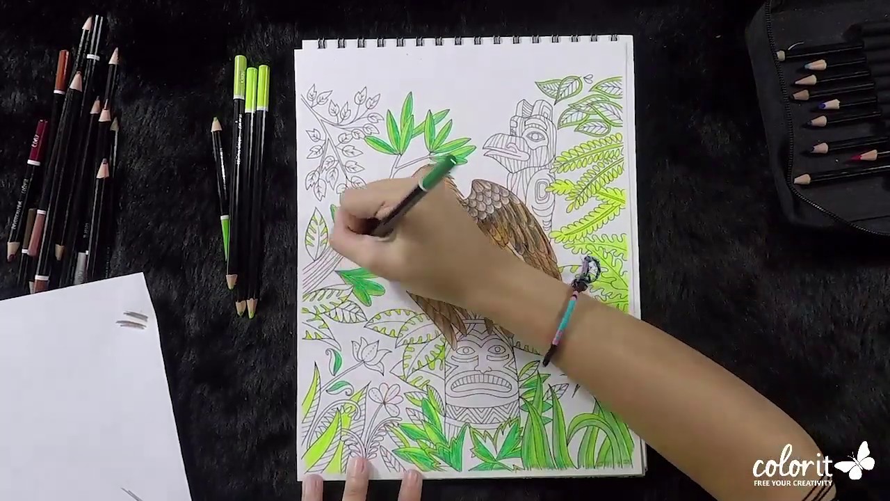 Time-lapse Coloring: Eagle and Totem Pole Coloring Page