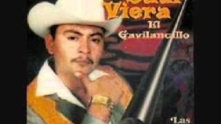 El Gavilán Lyrics English Translation