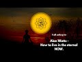 Alan Watts - Lecture on Reality | Black Screen No Music