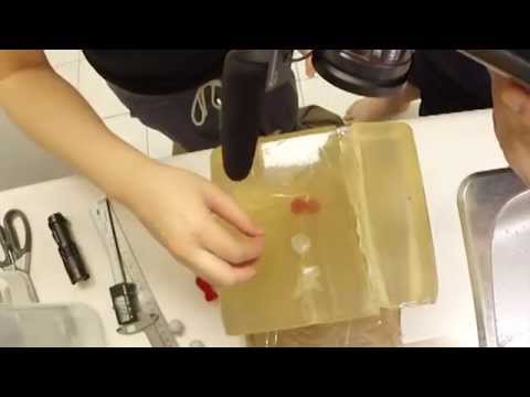 Deadly Breaker Balls and Darts for Paintball Guns Ballistic Gel Test!