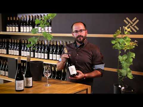 Was sind PiWi's? Cabertin ist ein PiWi-Wein