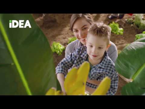 IDEA CG Voće i povrće - odaberi zdravo uberi svježe