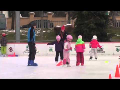 curs patinaj  02.02.2014