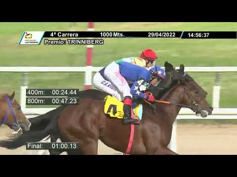 220429 c04 - LEOPARD (BRZ) - HIPODROMO LAS PIEDRAS