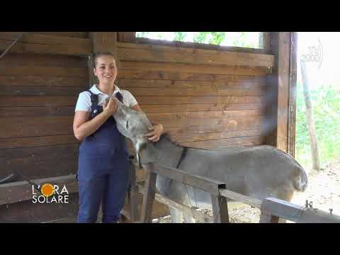 L'Ora Solare (TV2000) - La storia di Diamante Santini che ha scelto di vivere immersa nella natura