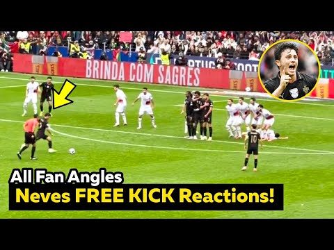 All Crowd Angles of Joao Neves INSANE Free Kick Reactions vs Armenia