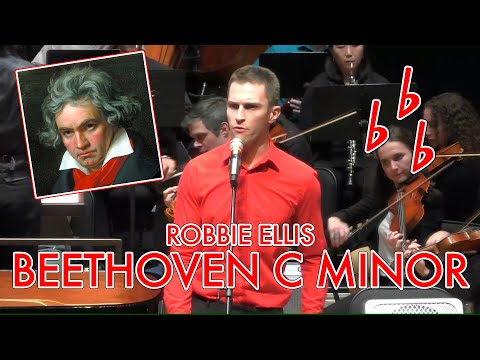 Robbie Ellis - Beethoven C minor