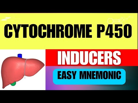 Cytochrome P450 Inducers: Easy Mnemonic, Mechanism, and Simple Explanation