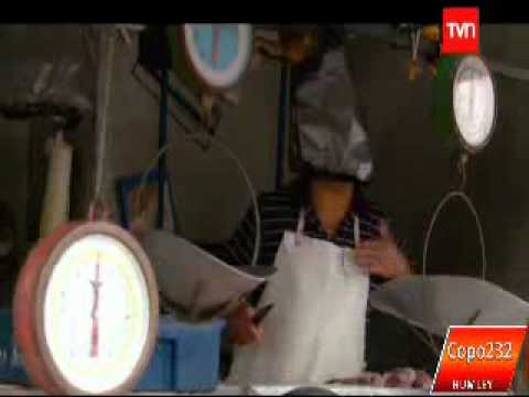 Adopta un Famoso (Capitulo 9) - Marlene Olivari Parte 1