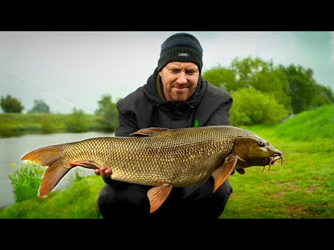 MONSTER BARBEL Fishing the River Trent