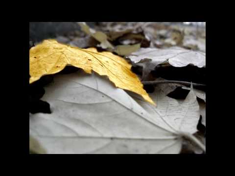 Alex Sosa - With Ayu