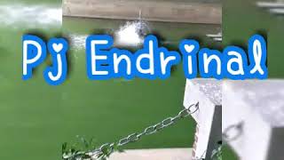 Beautiful Baby by Pj Endrinal with Lyrics