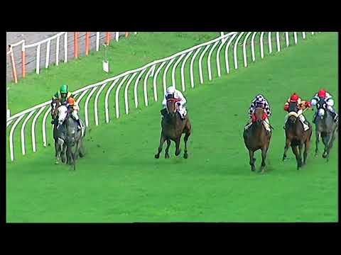 Galoppo 07/12/2020 - 5ª corsa