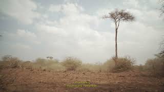 Trailer | Muzungu | Ben Donateo, Michel Passos Zylberberg