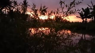 Download lagu Wilujeng Sonten mp3