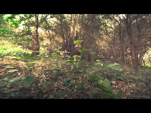 Share Your Adventure