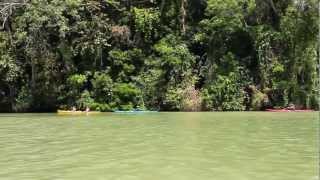 preview picture of video 'Experience Panama - Kayaking day in Gatun Lake'