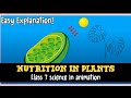 Nutrition In Plants Class 7 Science Chapter 1 ONE SHOT NCERT Animation Easy Explanation