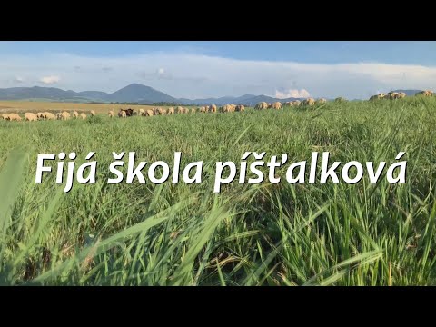Podpor pokračovanie Fijá školy píšťalkovej: Unikátny SPEVNÍK s videami