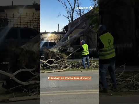Operativo en Pocito tras el Zonda