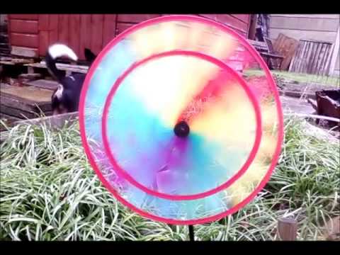 04 Sloy - Exactly (Peel Session)