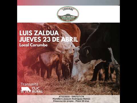 23/4/2026 Local Carumbe - Salto - Feria Mensual - Luis Zaldua Negocios Rurales