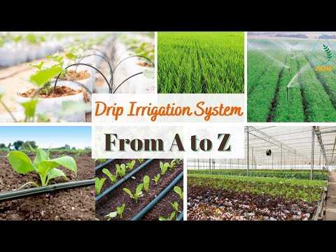 Plastic drip irrigation systems
