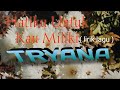 Hatiku Untuk Kaw Miliki Lirik Lagu TRYANA REUPLOAD MUSIK CHANNEL