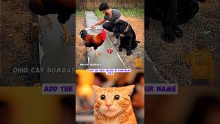 Download lagu give this video title 🤣 (wrong title only) #relatable #jumpstyle #aesthetic #bts #bassboosted mp3 Download lagu give this video title 🤣 (wrong title only) #relatable #jumpstyle #aesthetic #bts #bassboosted mp3