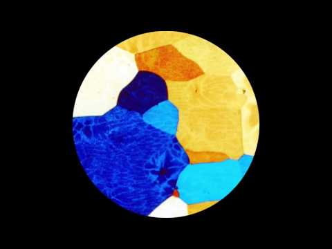 Golden Retriever - Consonance (Omena 2016)