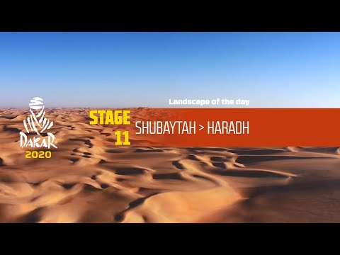 Dakar 2020 - Stage 11 - Landscape of the day