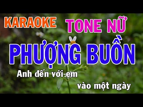 Phượng Buồn Karaoke Tone Nữ Nhạc Sống - Phối Mới Dễ Hát - Nhật Nguyễn