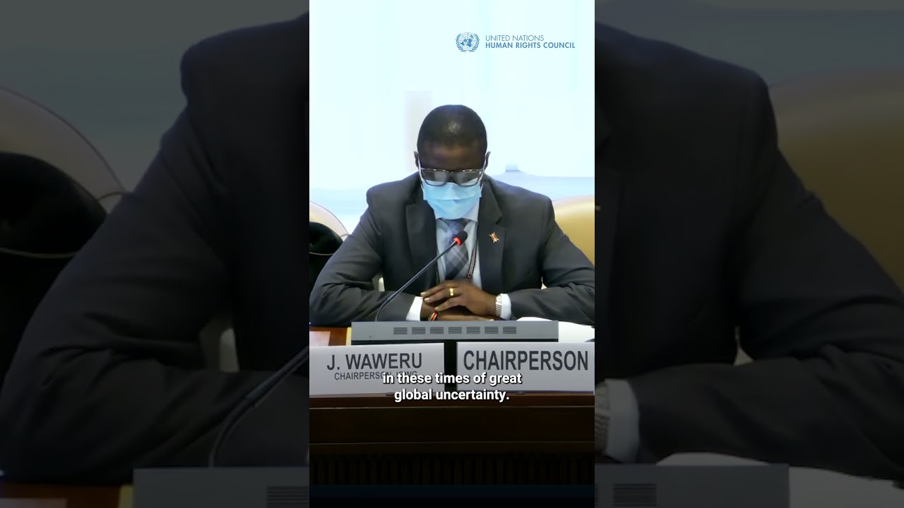 Racism is structural, not accidental - Chair of UN Durban Declaration Working Group