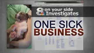 Craigslist parvo puppy seller - more victims