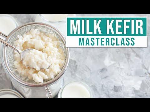 HOW TO MAKE MILK KEFIR AT HOME - Everything You Need To Know