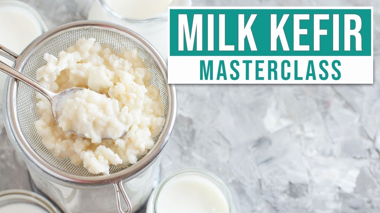 HOW TO MAKE MILK KEFIR AT HOME - Everything You Need To Know